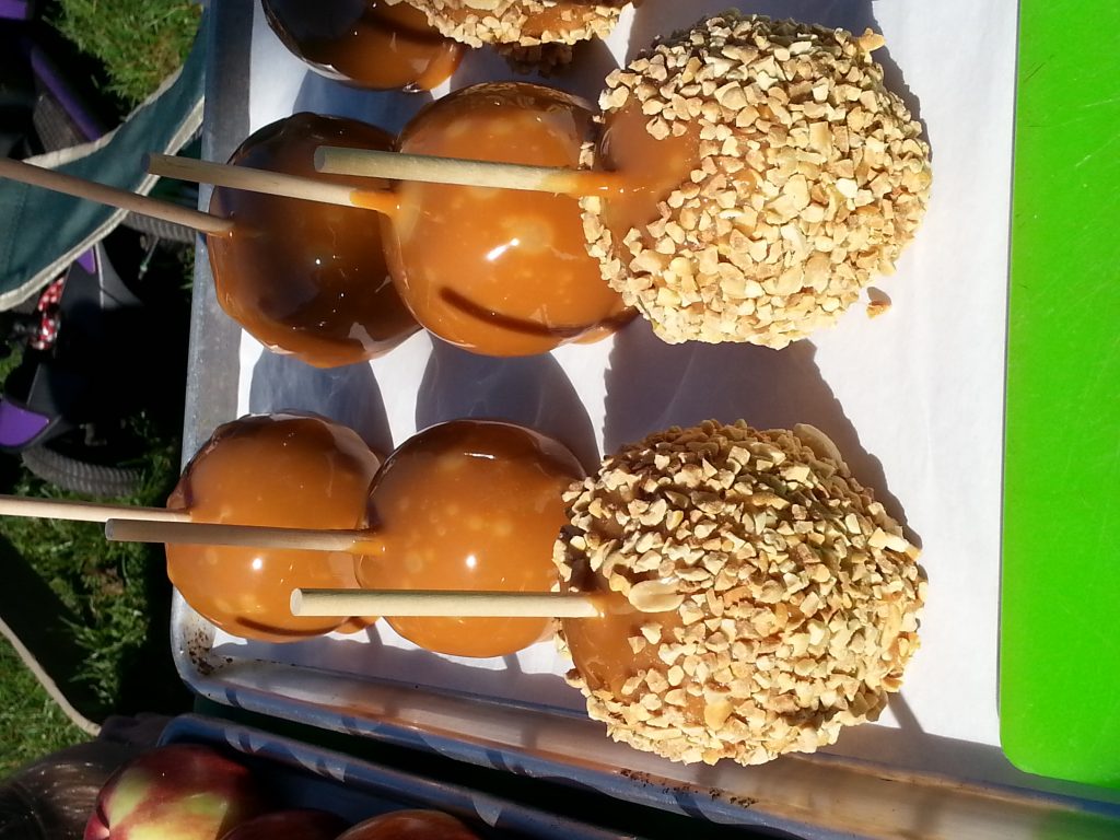 caramel-apples-sycamore-spring-orchard